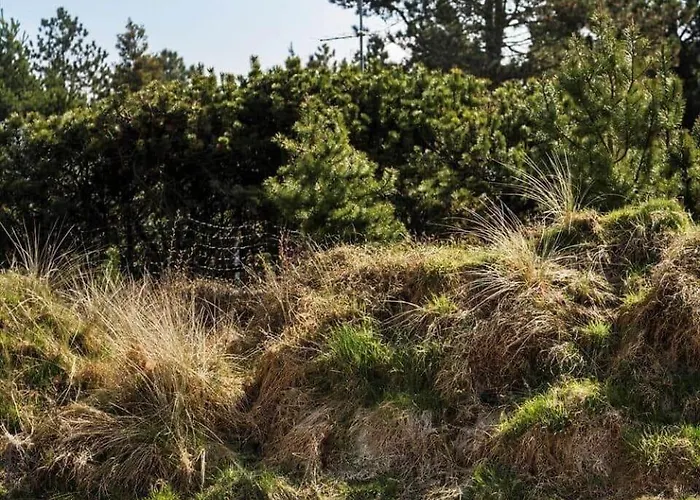 2603-romo-dyssebjergvej-30 Vesterhede